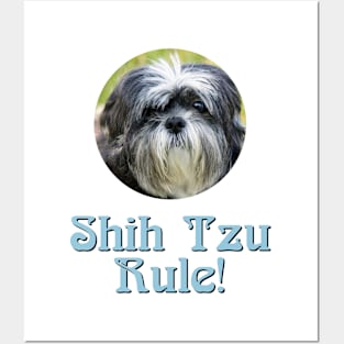 Shih Tzu Rule! Posters and Art